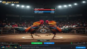 Đá gà Philippines là gì? Những điều cần biết khi chơi tại Betvip